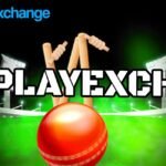 Playexch ID: Your Premier Online Betting Platform