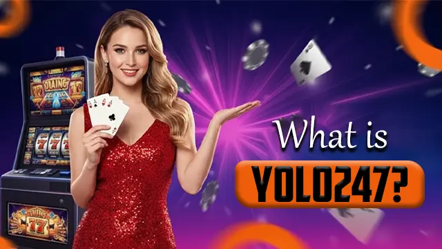 what is yolo247